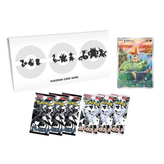 Pokémon Japanese Black & White File Set
